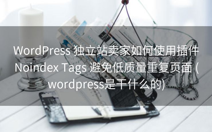 WordPress 独立站卖家如何使用插件Noindex Tags 避免低质量重复页面 (wordpress是干什么的)