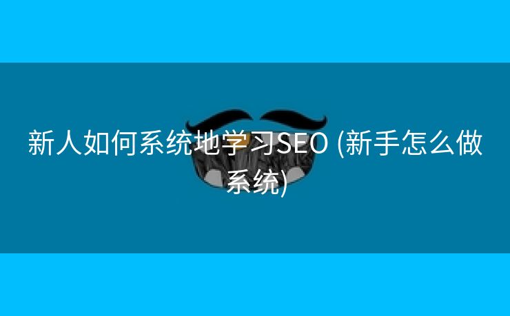 新人如何系统地学习SEO (新手怎么做系统)