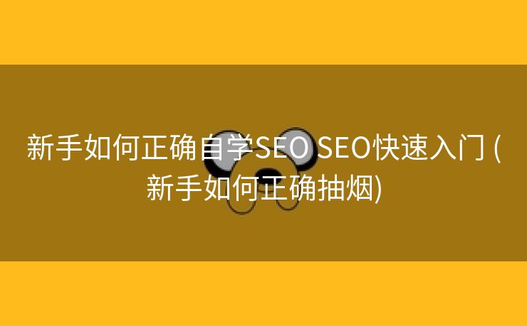 新手如何正确自学SEO SEO快速入门 (新手如何正确抽烟)