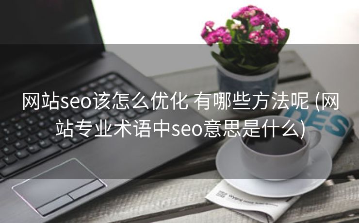 网站seo该怎么优化 有哪些方法呢 (网站专业术语中seo意思是什么)