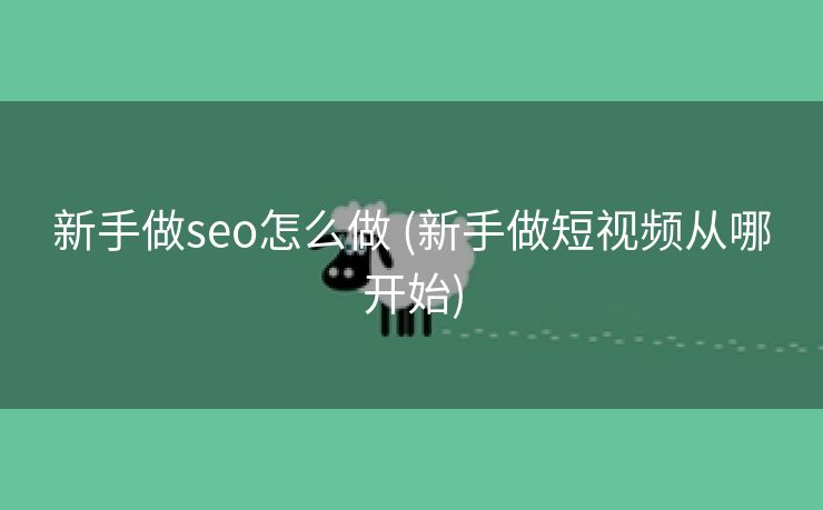 新手做seo怎么做 (新手做短视频从哪开始)
