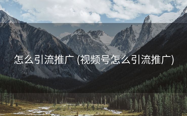 怎么引流推广 (视频号怎么引流推广)