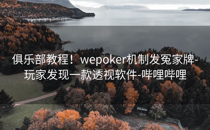 俱乐部教程！wepoker机制发冤家牌-玩家发现一款透视软件-哔哩哔哩