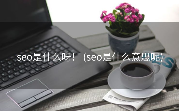 seo是什么呀！ (seo是什么意思呢)