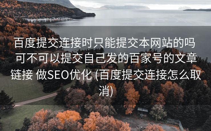 百度提交连接时只能提交本网站的吗 可不可以提交自己发的百家号的文章链接 做SEO优化 (百度提交连接怎么取消)