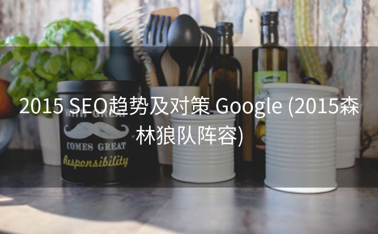 2015 SEO趋势及对策 Google (2015森林狼队阵容)