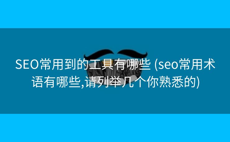 SEO常用到的工具有哪些 (seo常用术语有哪些,请列举几个你熟悉的)