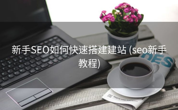 新手SEO如何快速搭建建站 (seo新手教程)