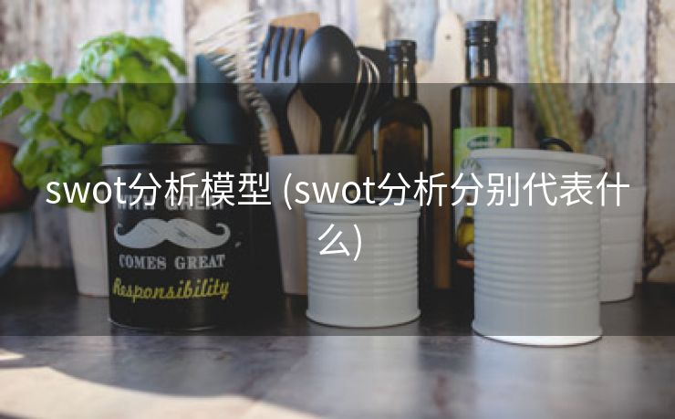 swot分析模型 (swot分析分别代表什么)