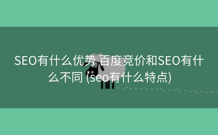SEO有什么优势 百度竞价和SEO有什么不同 (seo有什么特点)