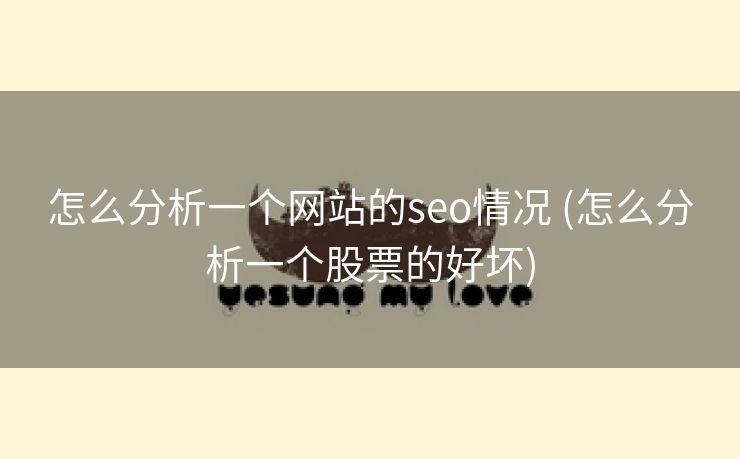 怎么分析一个网站的seo情况 (怎么分析一个股票的好坏)
