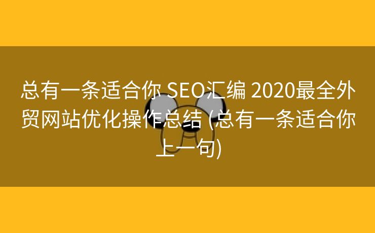 总有一条适合你 SEO汇编 2020最全外贸网站优化操作总结 (总有一条适合你上一句)