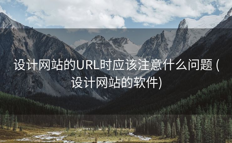 设计网站的URL时应该注意什么问题 (设计网站的软件)