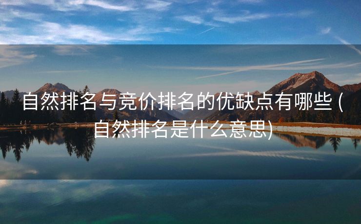 自然排名与竞价排名的优缺点有哪些 (自然排名是什么意思)