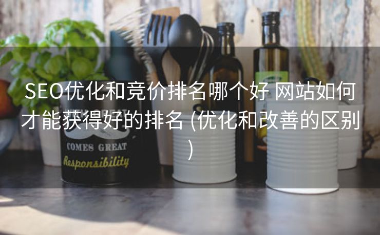 SEO优化和竞价排名哪个好 网站如何才能获得好的排名 (优化和改善的区别)