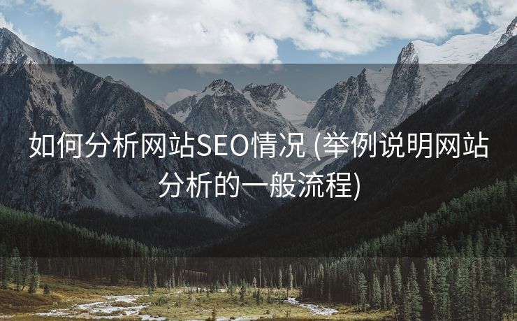 如何分析网站SEO情况 (举例说明网站分析的一般流程)