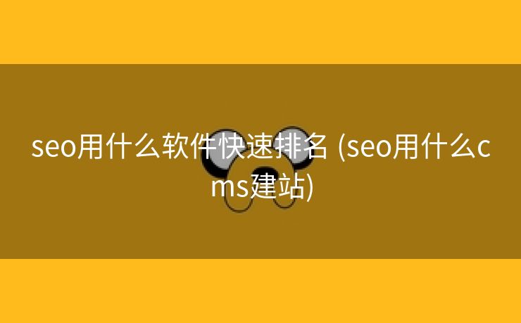 seo用什么软件快速排名 (seo用什么cms建站)