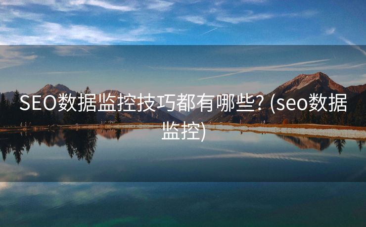 SEO数据监控技巧都有哪些? (seo数据监控)
