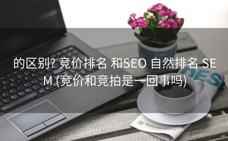 的区别? 竞价排名 和SEO 自然排名 SEM (竞价和竞拍是一回事吗)