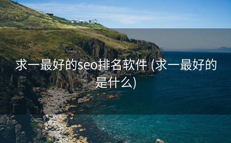 求一最好的seo排名软件 (求一最好的是什么)