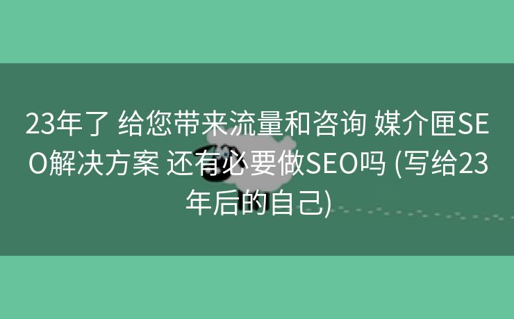 23年了 给您带来流量和咨询 媒介匣SEO解决方案 还有必要做SEO吗 (写给23年后的自己)