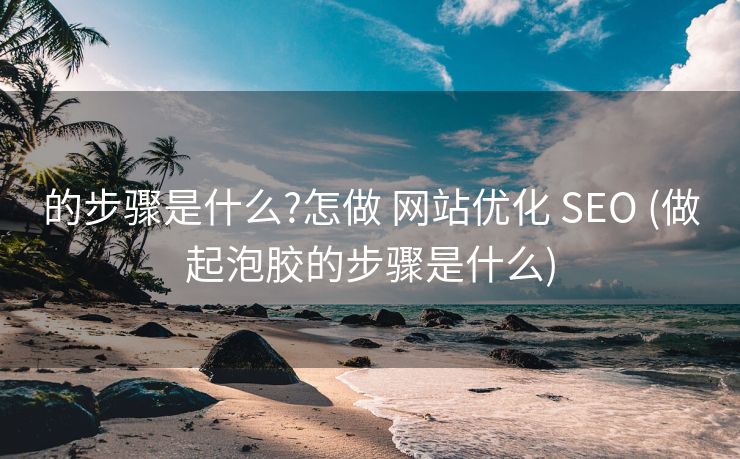 的步骤是什么?怎做 网站优化 SEO (做起泡胶的步骤是什么)