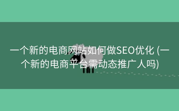 一个新的电商网站如何做SEO优化 (一个新的电商平台需动态推广人吗)