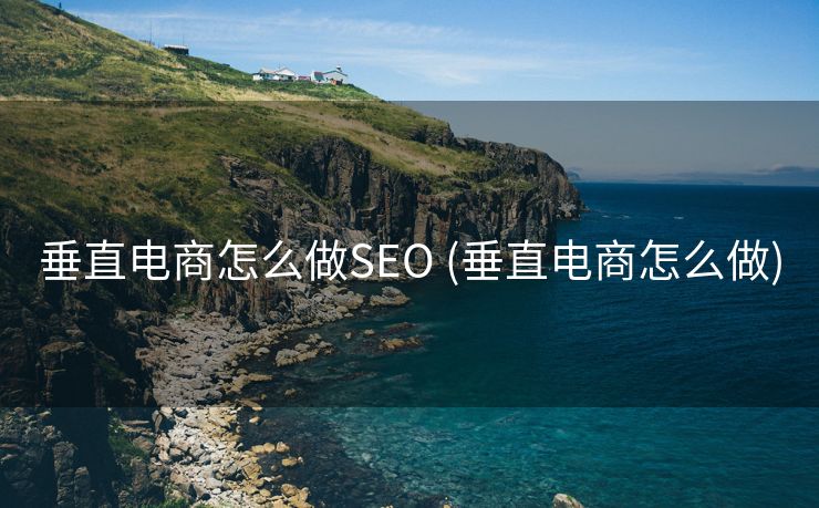 垂直电商怎么做SEO (垂直电商怎么做)