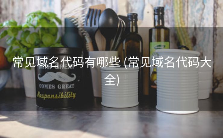 常见域名代码有哪些 (常见域名代码大全)