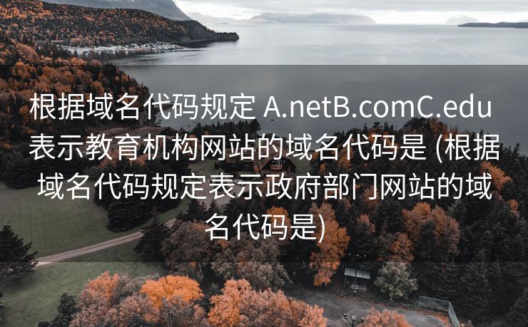 根据域名代码规定 A.netB.comC.edu 表示教育机构网站的域名代码是 (根据域名代码规定表示政府部门网站的域名代码是)