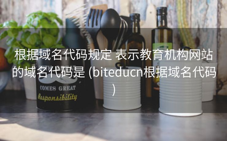 根据域名代码规定 表示教育机构网站的域名代码是 (biteducn根据域名代码)