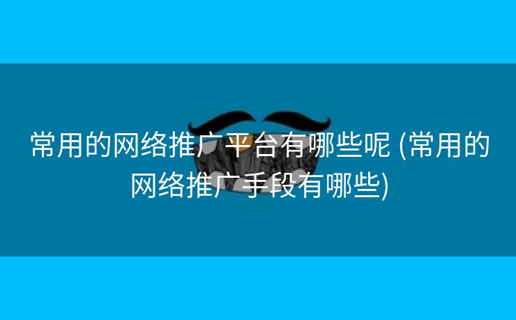 常用的网络推广平台有哪些呢 (常用的网络推广手段有哪些)