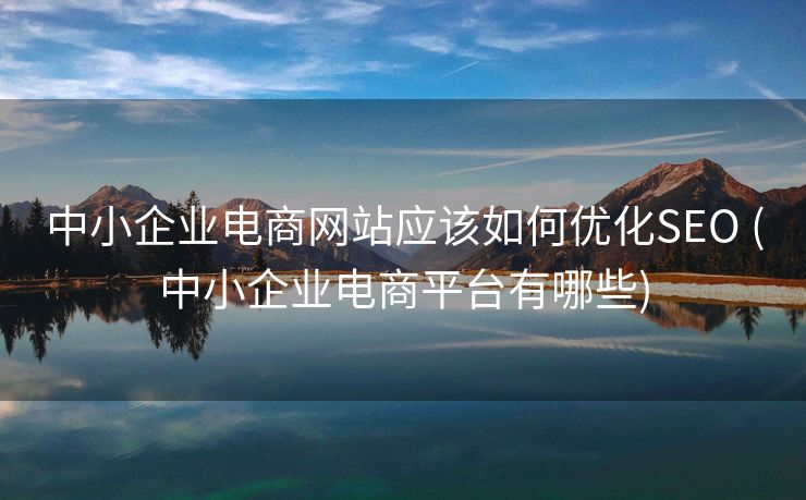 中小企业电商网站应该如何优化SEO (中小企业电商平台有哪些)
