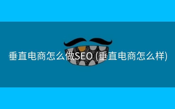 垂直电商怎么做SEO (垂直电商怎么样)