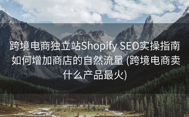 跨境电商独立站Shopify SEO实操指南 如何增加商店的自然流量 (跨境电商卖什么产品最火)