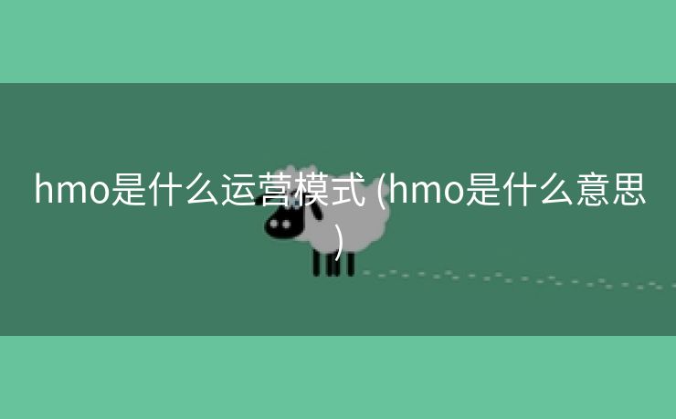 hmo是什么运营模式 (hmo是什么意思)