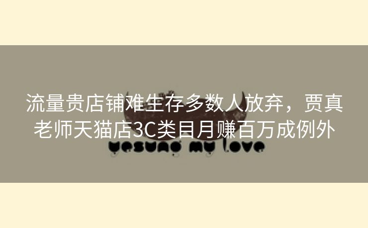 流量贵店铺难生存多数人放弃，贾真老师天猫店3C类目月赚百万成例外