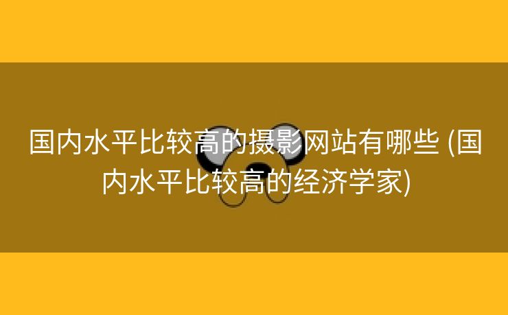 国内水平比较高的摄影网站有哪些 (国内水平比较高的经济学家)