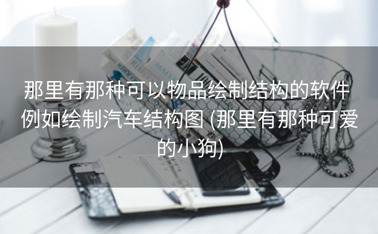 那里有那种可以物品绘制结构的软件 例如绘制汽车结构图 (那里有那种可爱的小狗)
