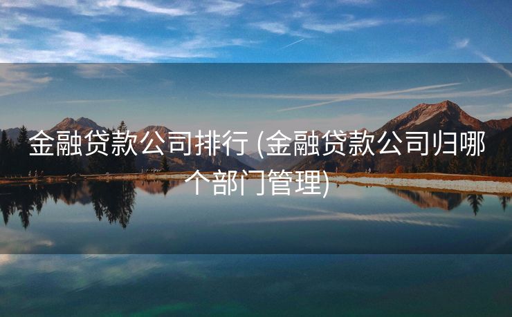 金融贷款公司排行 (金融贷款公司归哪个部门管理)