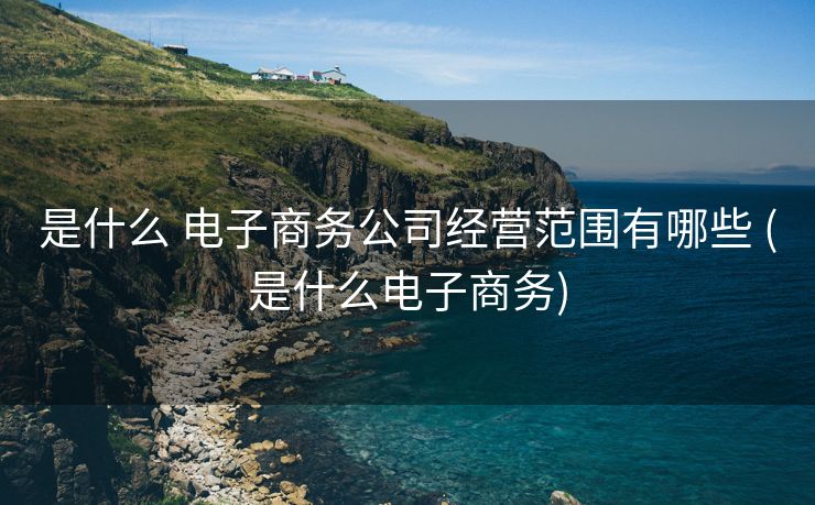 是什么 电子商务公司经营范围有哪些 (是什么电子商务)