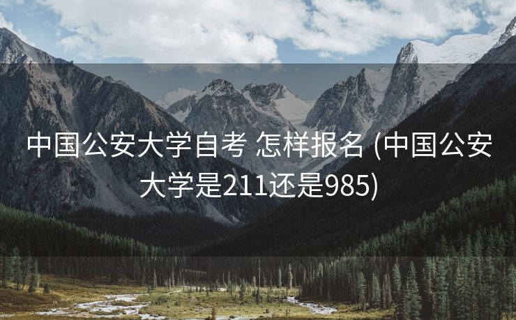 中国公安大学自考 怎样报名 (中国公安大学是211还是985)