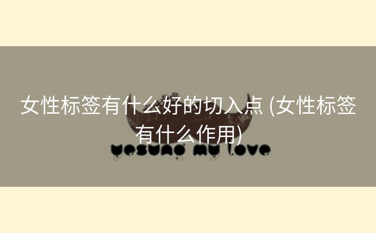 女性标签有什么好的切入点 (女性标签有什么作用)
