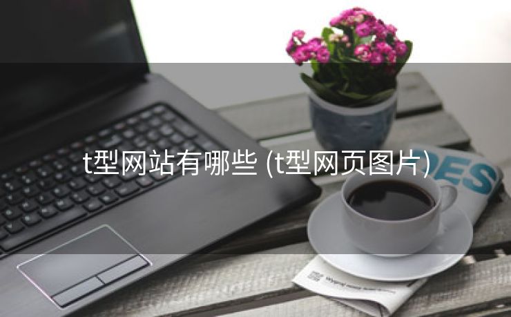 t型网站有哪些 (t型网页图片)