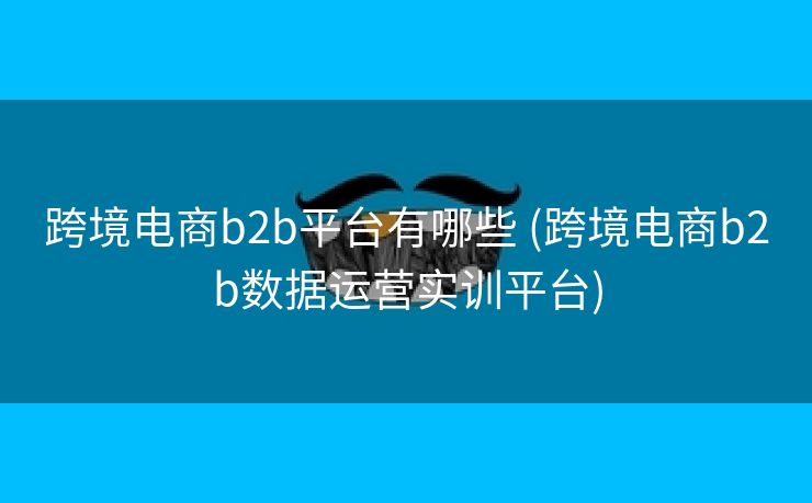 跨境电商b2b平台有哪些 (跨境电商b2b数据运营实训平台)