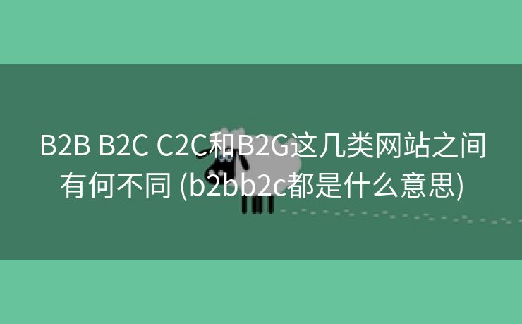 B2B B2C C2C和B2G这几类网站之间有何不同 (b2bb2c都是什么意思)