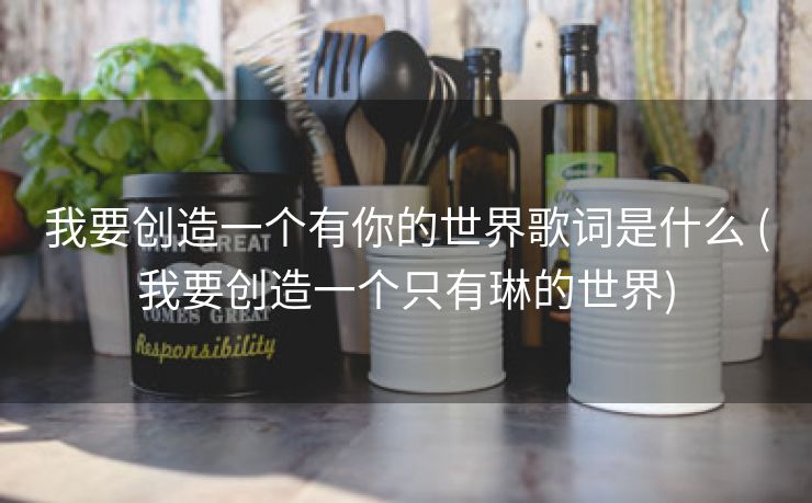 我要创造一个有你的世界歌词是什么 (我要创造一个只有琳的世界)