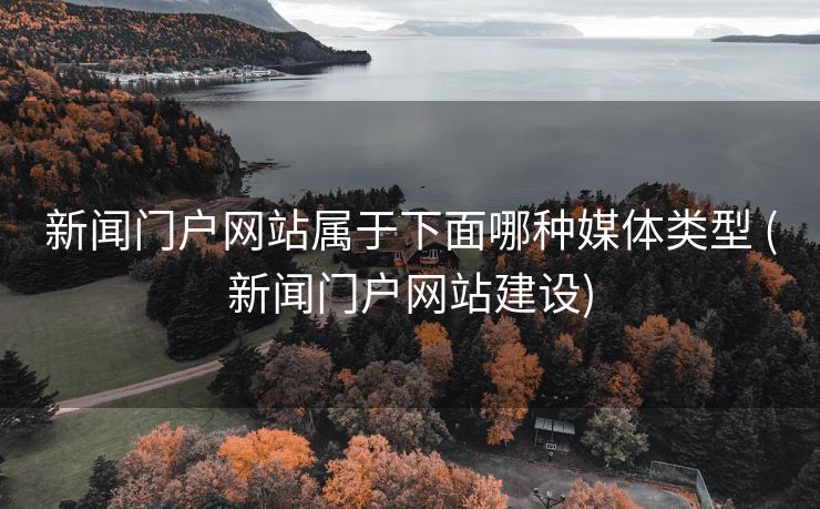 新闻门户网站属于下面哪种媒体类型 (新闻门户网站建设)