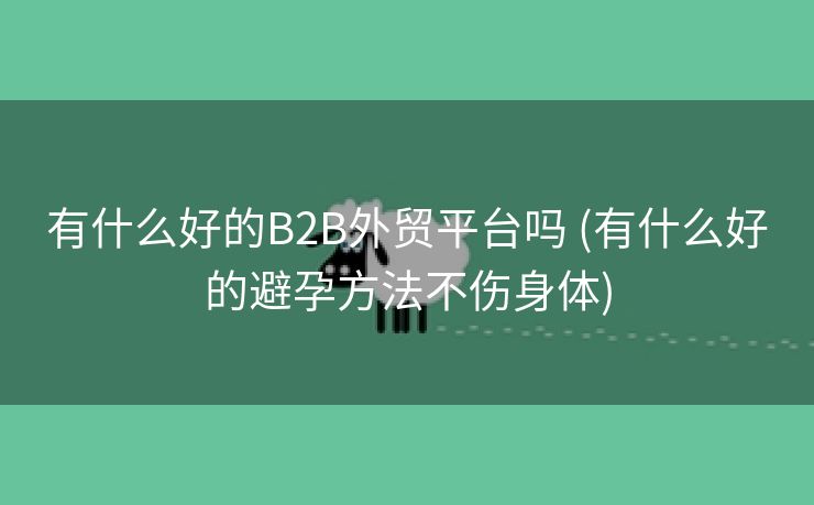 有什么好的B2B外贸平台吗 (有什么好的避孕方法不伤身体)