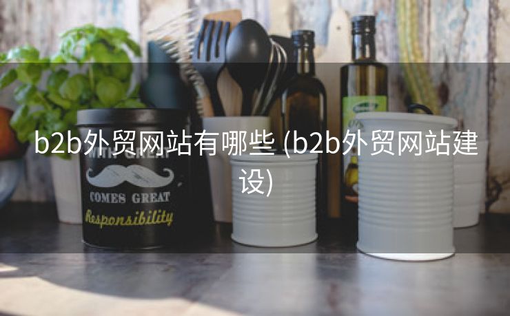 b2b外贸网站有哪些 (b2b外贸网站建设)